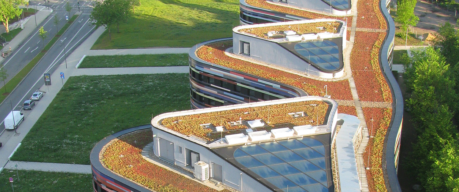 gruendach_portfolio1